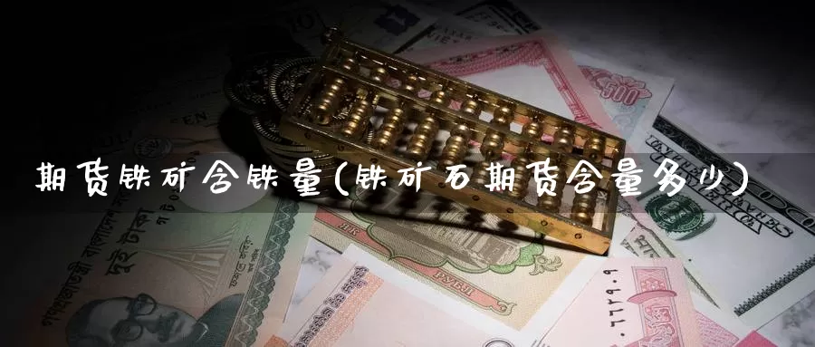 期货铁矿含铁量(铁矿石期货含量多少)