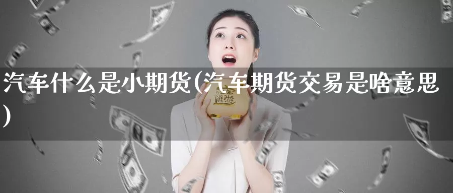 汽车什么是小期货(汽车期货交易是啥意思)