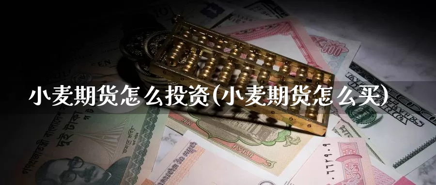 小麦期货怎么投资(小麦期货怎么买)