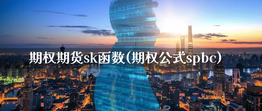 期权期货sk函数(期权公式spbc)