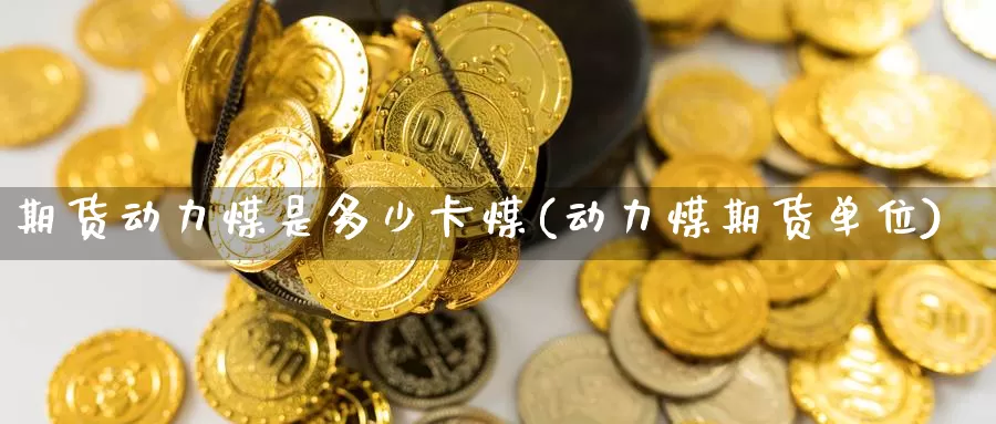 期货动力煤是多少卡煤(动力煤期货单位)