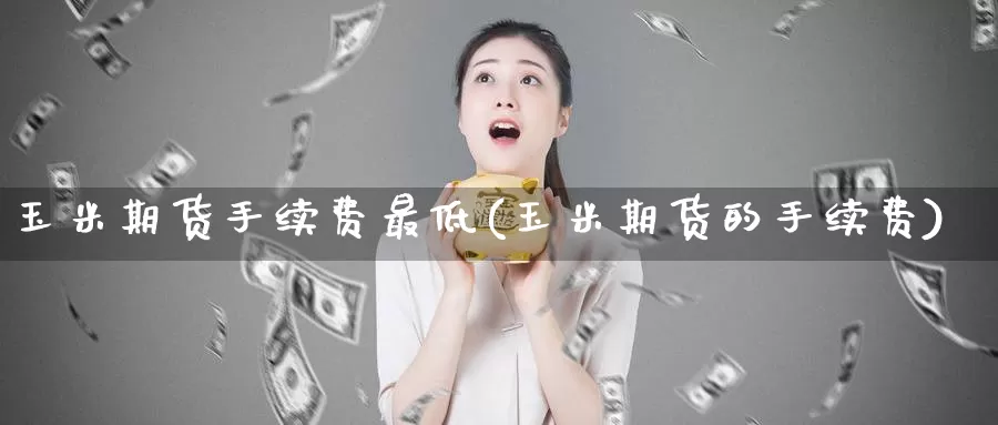 玉米期货手续费最低(玉米期货的手续费)