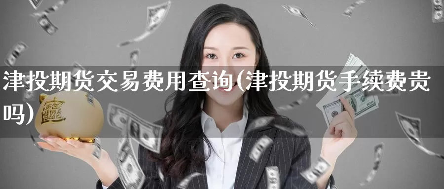 津投期货交易费用查询(津投期货手续费贵吗)