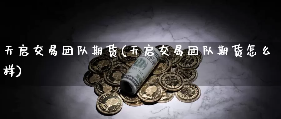 天启交易团队期货(天启交易团队期货怎么样)