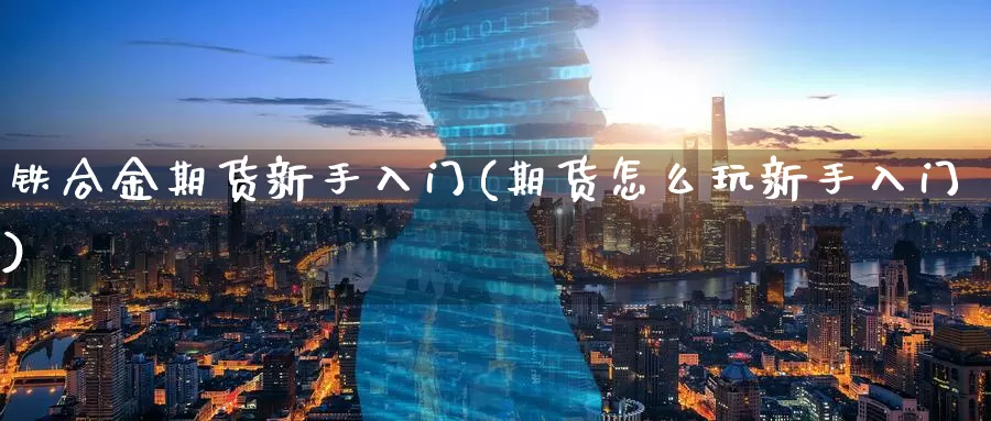 铁合金期货新手入门(期货怎么玩新手入门)