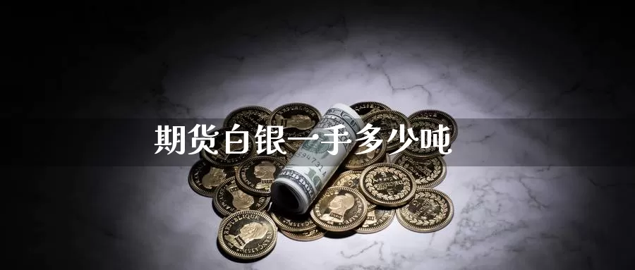 期货白银一手多少吨