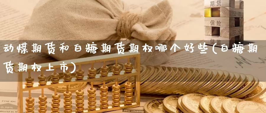 动煤期货和白糖期货期权哪个好些(白糖期货期权上市)