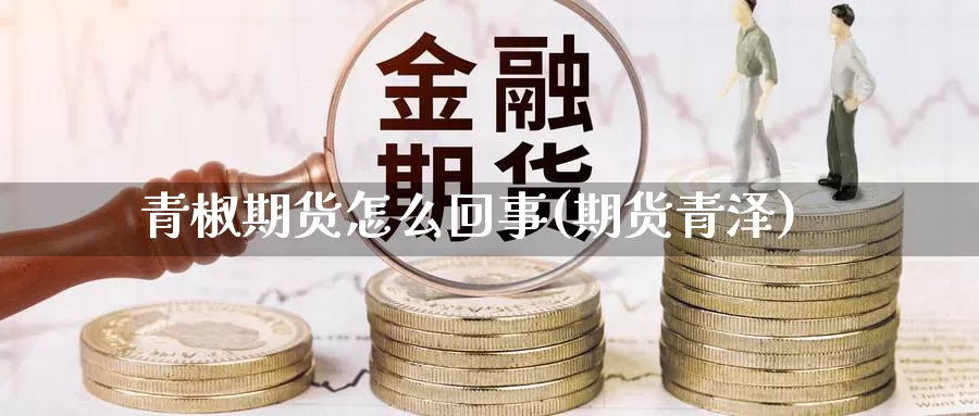 青椒期货怎么回事(期货青泽)