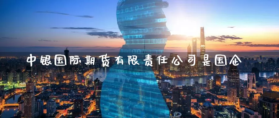 中银国际期货有限责任公司是国企