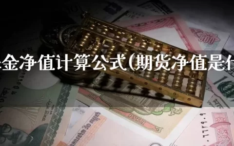 期货基金净值计算公式(期货净值是什么意思)