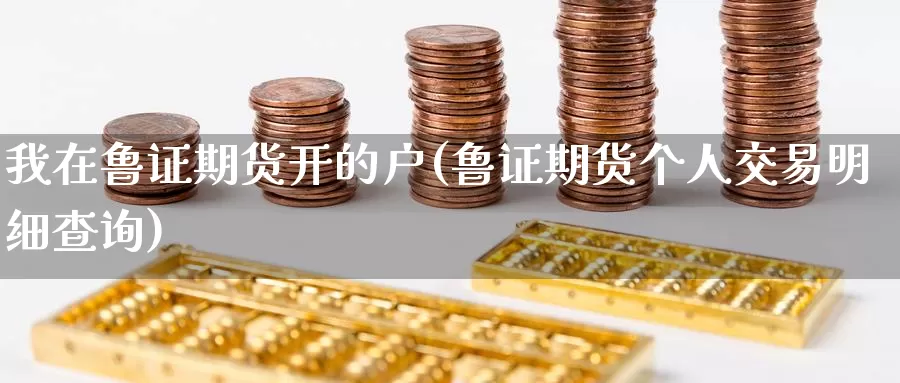 我在鲁证期货开的户(鲁证期货个人交易明细查询)