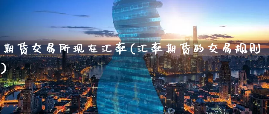 期货交易所现在汇率(汇率期货的交易规则)
