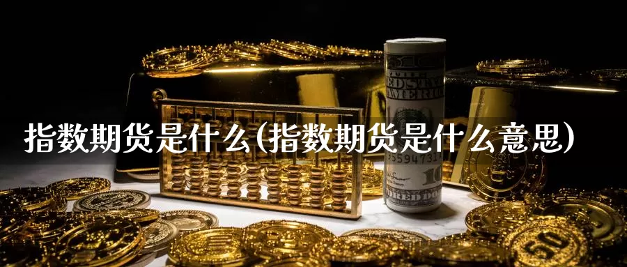 指数期货是什么(指数期货是什么意思)