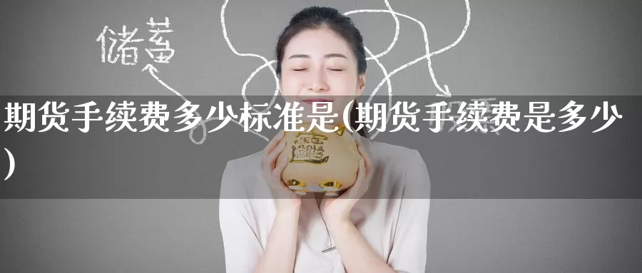 期货手续费多少标准是(期货手续费是多少)