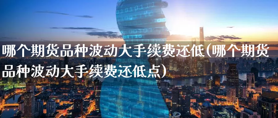哪个期货品种波动大手续费还低(哪个期货品种波动大手续费还低点)