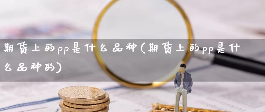 期货上的pp是什么品种(期货上的pp是什么品种的)