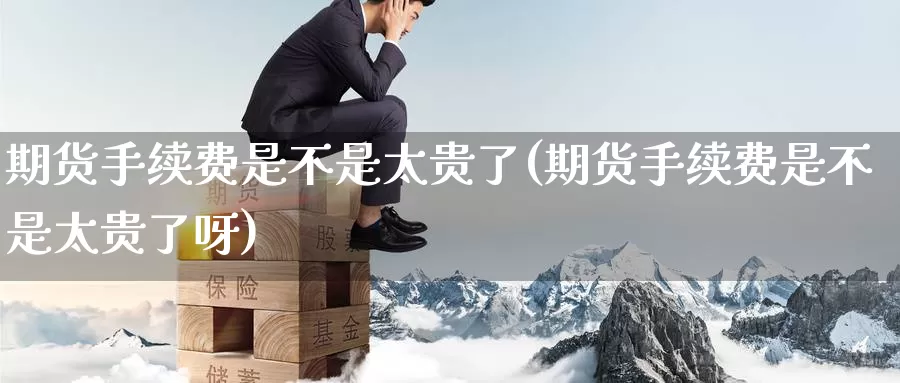 期货手续费是不是太贵了(期货手续费是不是太贵了呀)