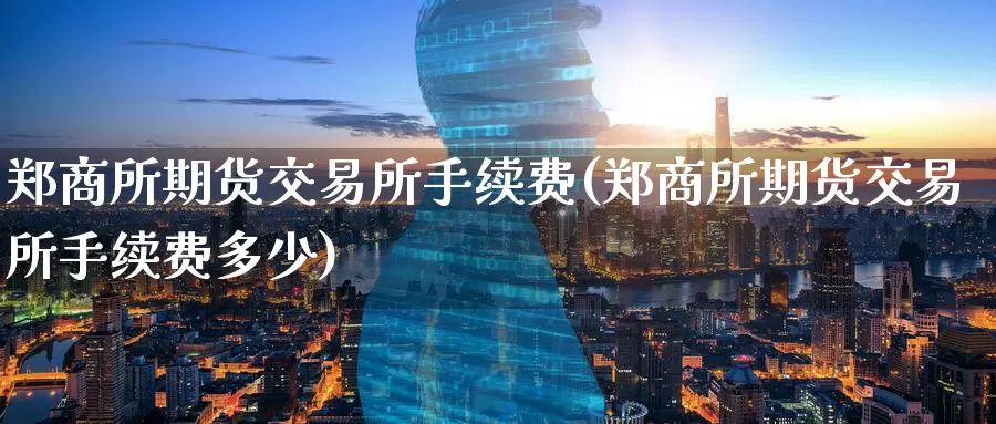 郑商所期货交易所手续费(郑商所期货交易所手续费多少)