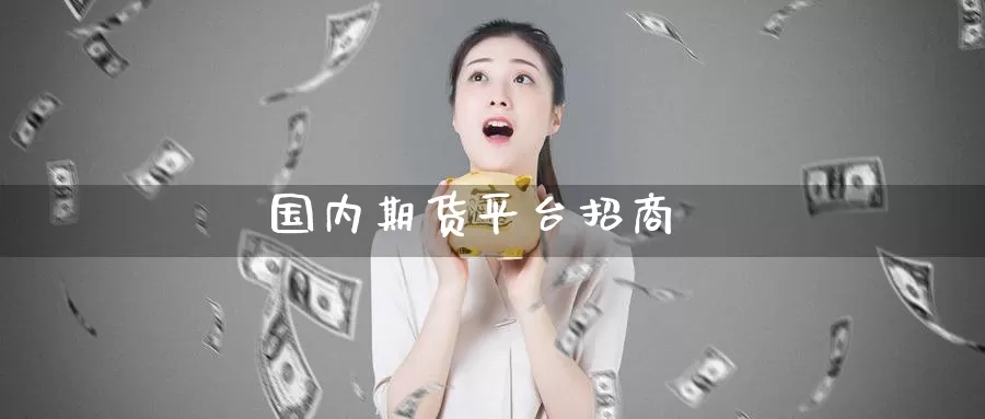 国内期货平台**