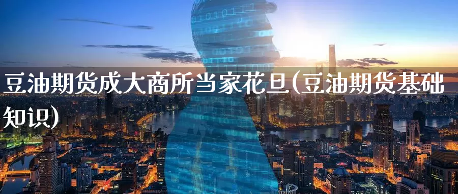 豆油期货成大商所当家花旦(豆油期货基础知识)