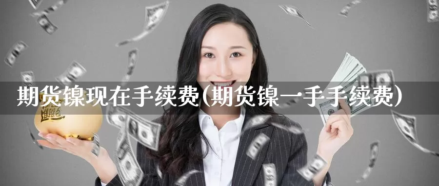 期货镍现在手续费(期货镍一手手续费)