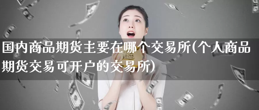 国内商品期货主要在哪个交易所(个人商品期货交易可开户的交易所)