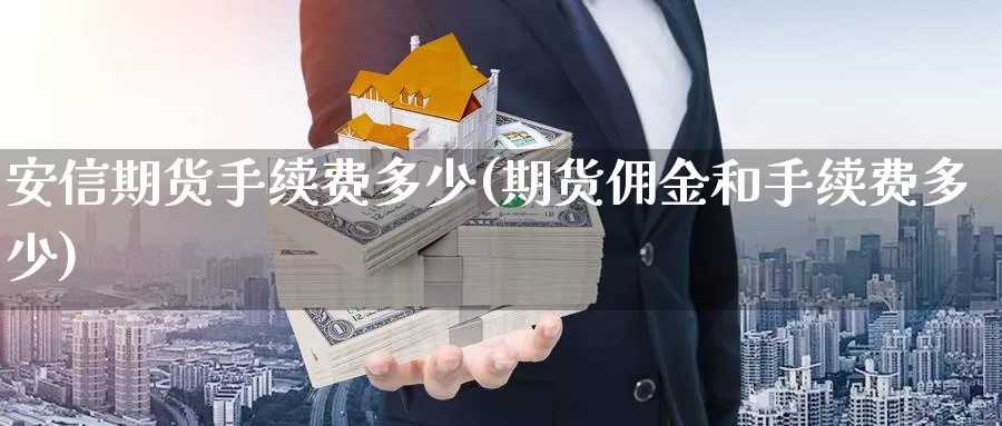 安信期货手续费多少(期货佣金和手续费多少)