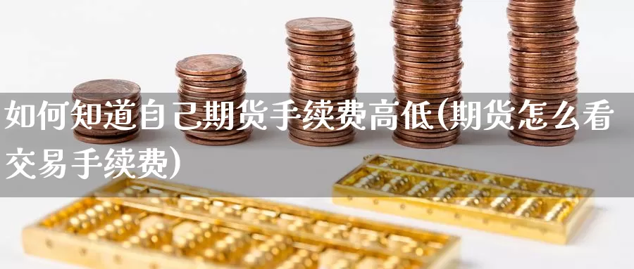 如何知道自己期货手续费高低(期货怎么看交易手续费)