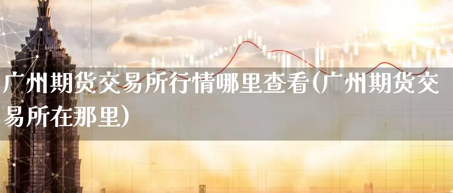 广州期货交易所行情哪里查看(广州期货交易所在那里)