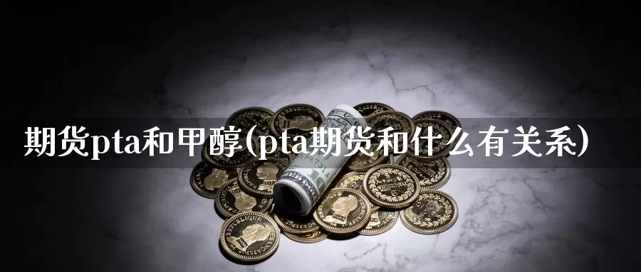 期货pta和甲醇(pta期货和什么有关系)