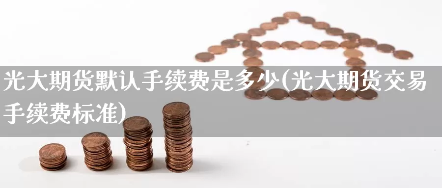 光大期货默认手续费是多少(光大期货交易手续费标准)