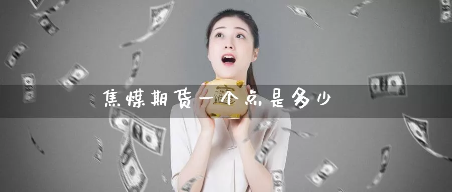 焦煤期货一个点是多少