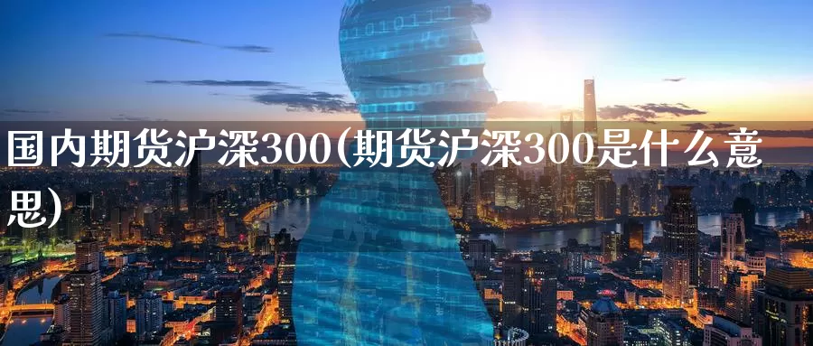 国内期货沪深300(期货沪深300是什么意思)