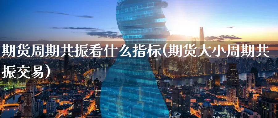 期货周期共振看什么指标(期货大小周期共振交易)