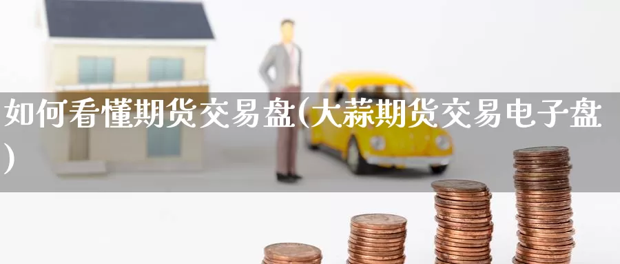 如何看懂期货交易盘(大蒜期货交易电子盘)