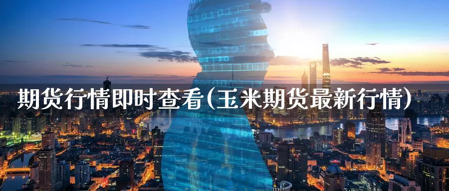期货行情即时查看(玉米期货最新行情)