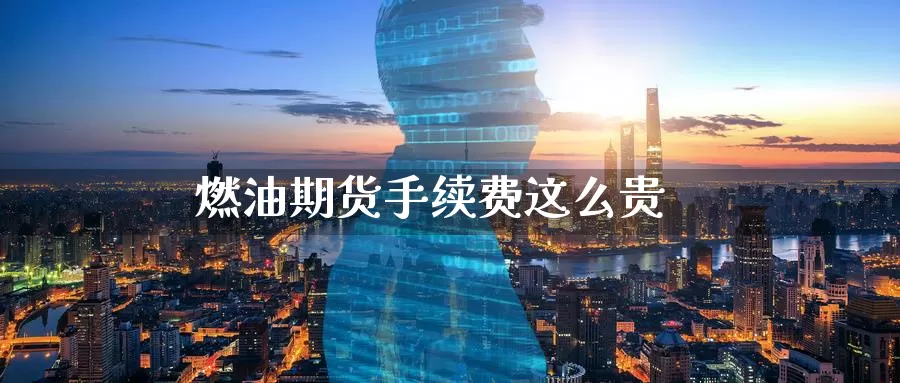 燃油期货手续费这么贵