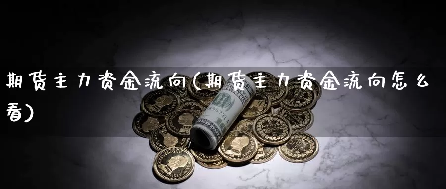 期货主力资金流向(期货主力资金流向怎么看)