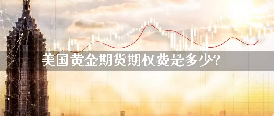 美国黄金期货期权费是多少?