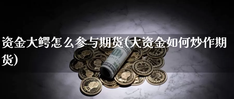 资金大鳄怎么参与期货(大资金如何炒作期货)
