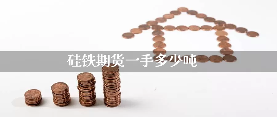 硅铁期货一手多少吨