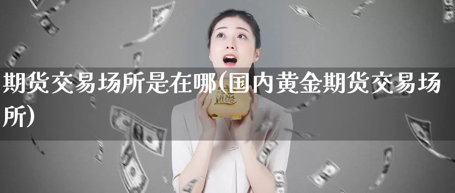 期货交易场所是在哪(国内黄金期货交易场所)