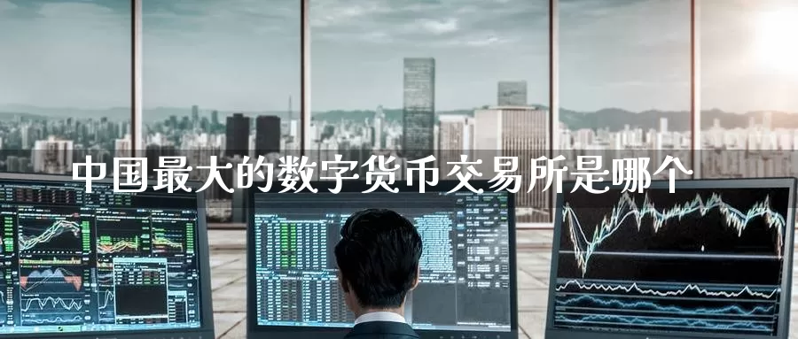 中国最大的数字货币交易所是哪个