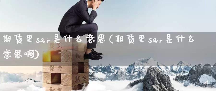 期货里sar是什么意思(期货里sar是什么意思啊)