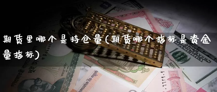 期货里哪个是持仓量(期货哪个指标是资金量指标)