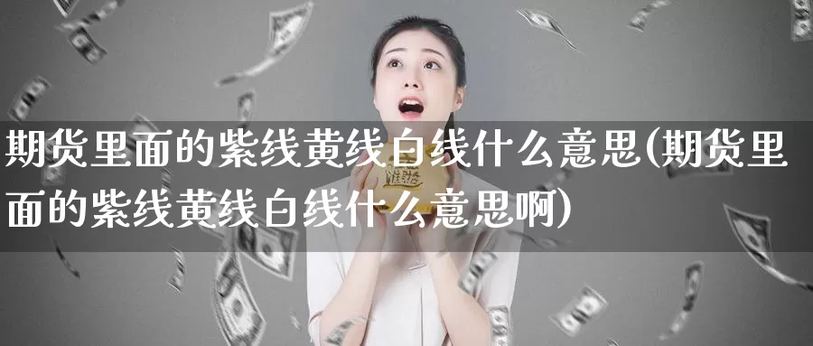 期货里面的紫线黄线白线什么意思(期货里面的紫线黄线白线什么意思啊)