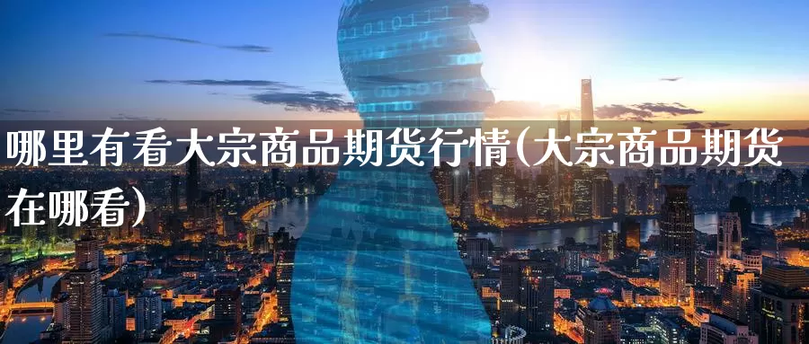 哪里有看大宗商品期货行情(大宗商品期货在哪看)