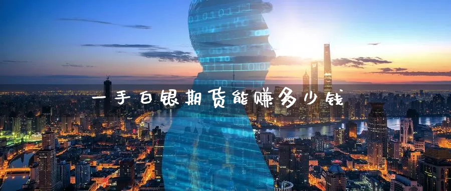 一手白银期货能赚多少钱