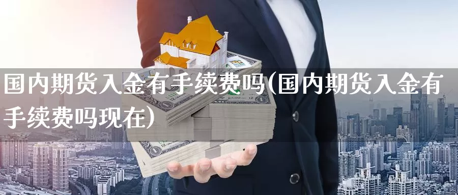 国内期货入金有手续费吗(国内期货入金有手续费吗现在)