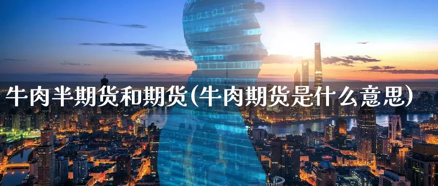 牛肉半期货和期货(牛肉期货是什么意思)